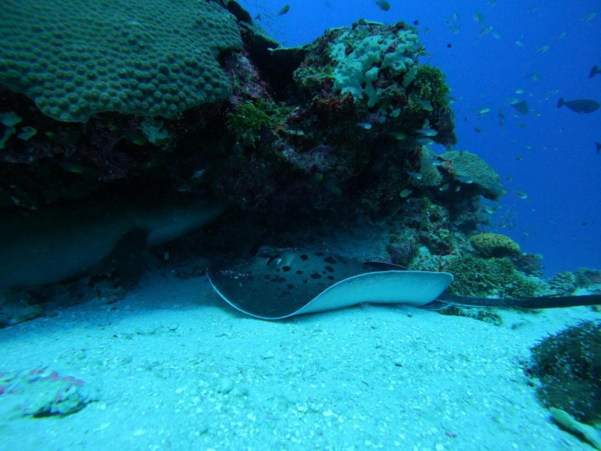 Coral Beach Maldives Hangnaameedhoo Zewnętrze zdjęcie